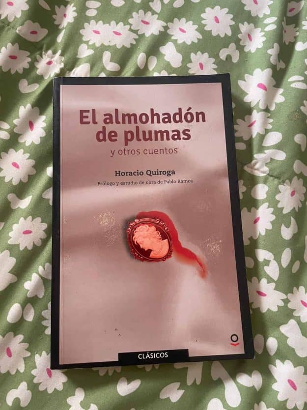 cropped-El-almohadon-de-plumas.jpeg cropped-El-almohadon-de-plumas.jpeg
